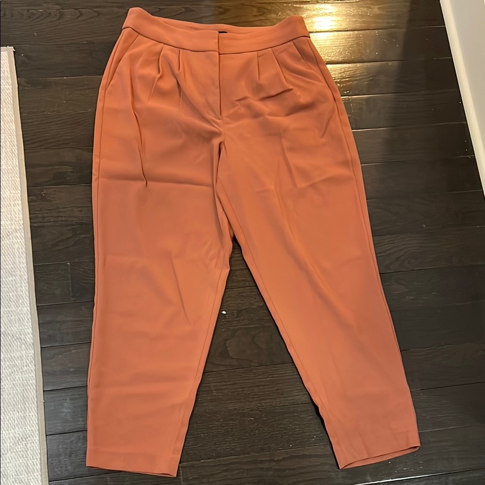 Express Pleated Dress Pants - size 10